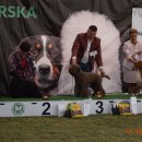 pieski3d 202